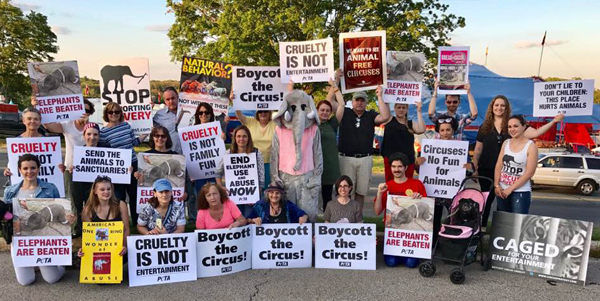 MFA circus protest